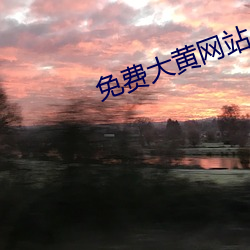 免费大黄网站