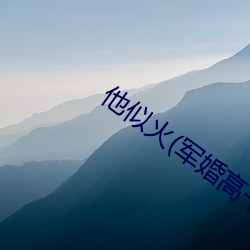 他似火(军(軍)婚(婚)高干婚(婚)恋)全文免费(費)阅(閱)读