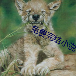 免费完(完)结小(小)说(說)