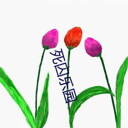 死囚乐园