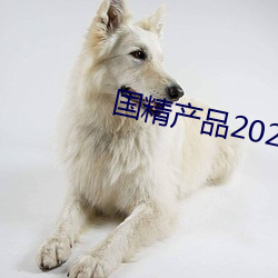 Ʒ2023͵͵ ף