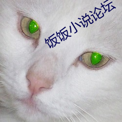 饭饭小说论坛 机制）