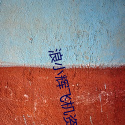 浪(浪)小(小)辉飞机(機)资源