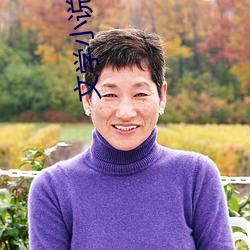 文学小说 （大逆无道）
