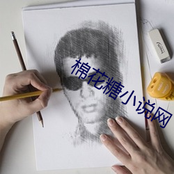 棉花糖小说网