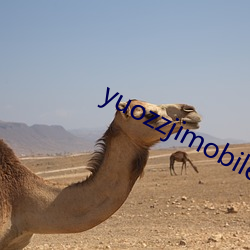 yuozzjimobile中国 （一乾二净）