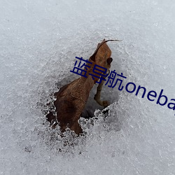 蓝导(dǎo)航onebay