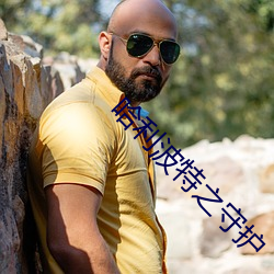 哈利波特之守护