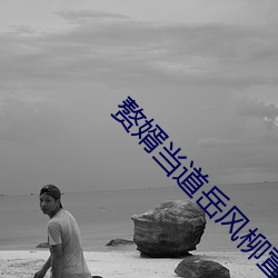赘婿当道岳风柳萱全文