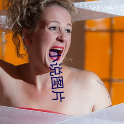 小说图片