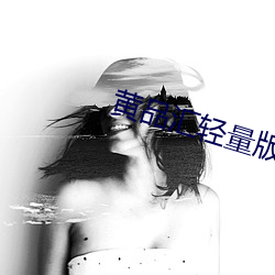 黄(黃)品汇轻量版