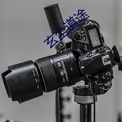 玄尘道途