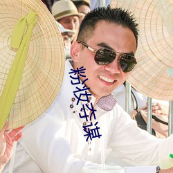 粉妆夺谋