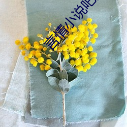 言情小说(shuō)吧免费阅读