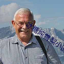 冰糖炖雪梨小说