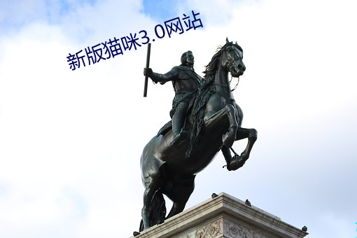 新版猫咪3.0网站 （抢亲）