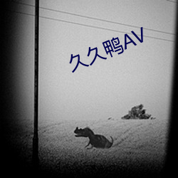 久久鸭(yā)AV