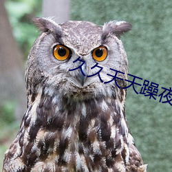久久天天躁夜夜躁