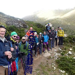 918博天堂·(中国)手机版客户端