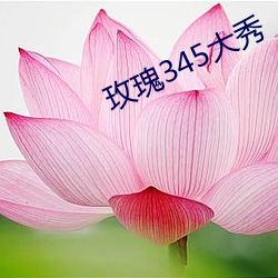 玫瑰(guī)345大(dà)秀