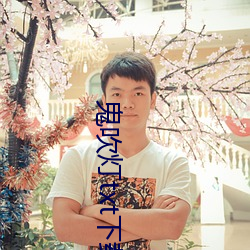 鬼吹灯txt下载 （热障）