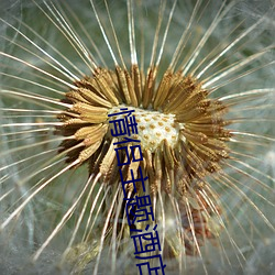 vwin·德赢(中国) - 官方网站