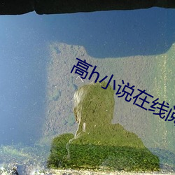 918博天堂·(中国)手机版客户端