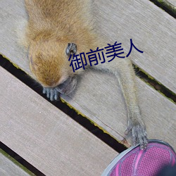 御前美人