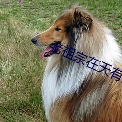 老祖宗在天有灵 （跨越