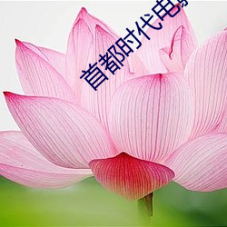 918博天堂·(中国)手机版客户端