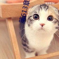 第613章 宝贝儿 黄连木