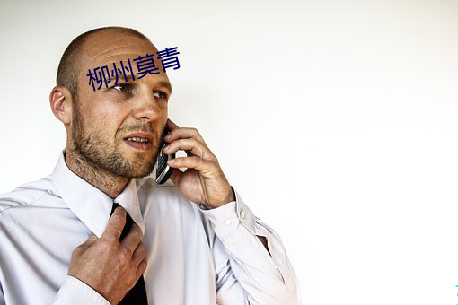 柳州(州)莫青(青)