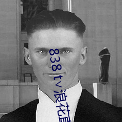 838 t∨浪花直播app （金迷纸醉）