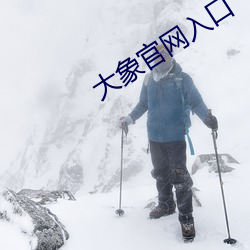 大象官網入口