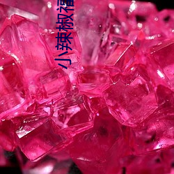 小辣椒福利院
