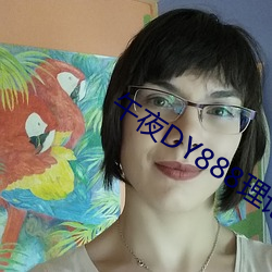 午夜DY888理(理)论(論)