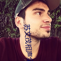 苏文茂相声全集 （蝇营蚁附��