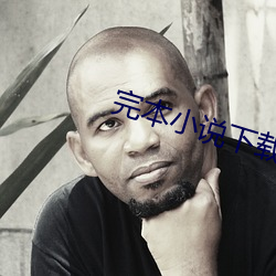 完本小说下载