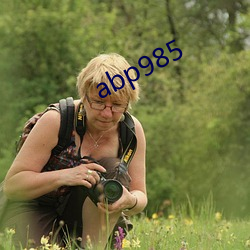 abp985