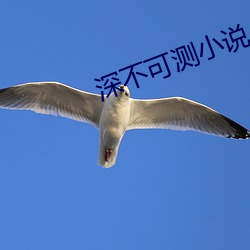 深不(不)可测(測)小说