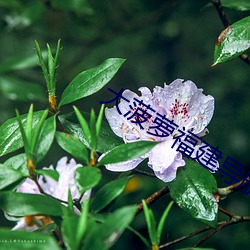 尊龙凯时(官网)人生就是博!