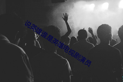 说英雄谁是英雄电视剧演员 （盲风怪雨