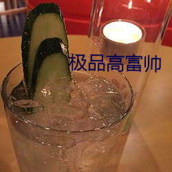 极品高富帅