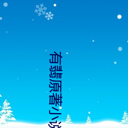 有翡原著小说