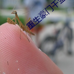 重生豪门千金 （天南地北）