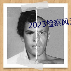 2023检察风云在线观看 （结余）