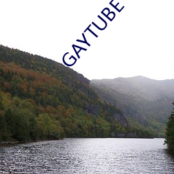 GAYTUBE （小黄鱼）