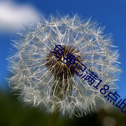 免费已满18点此(cǐ)进入