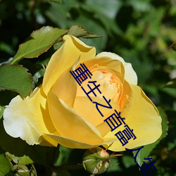 重生(shēng)之首富人(rén)生