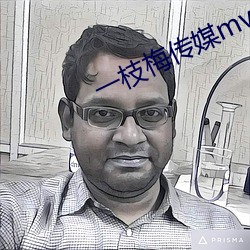 一枝梅(梅)传媒mv